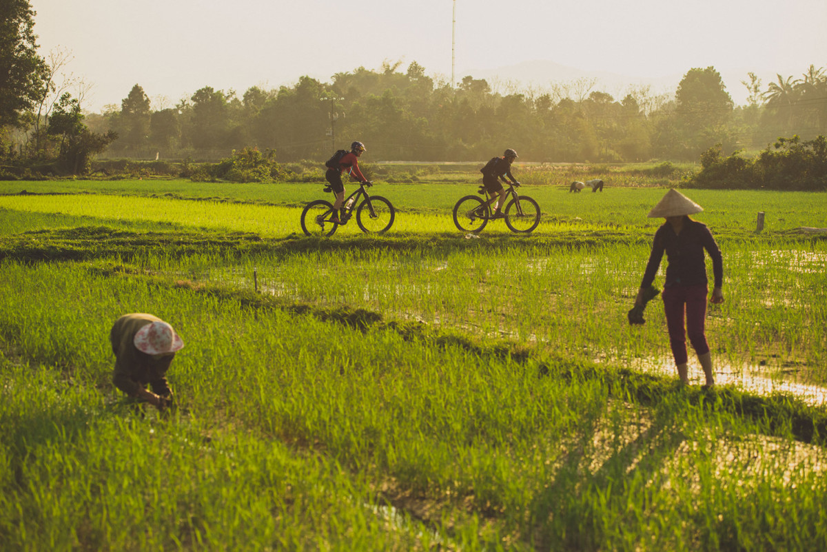 Rusch_Huyen_paddyfield_RedBullMediaHouse.jpg